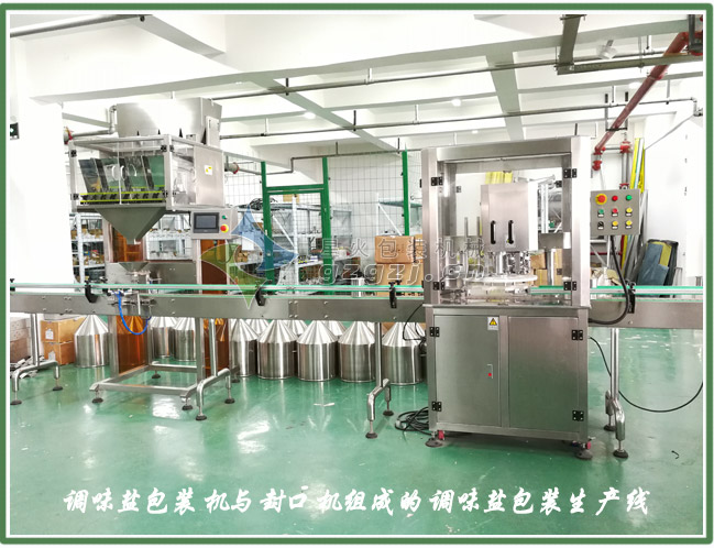 全自动调味盐包装机